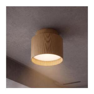 BRILAGI - LED Bodové svítidlo BACKLIT 1xGX53/15W/230V+LED/3W pr. 8 cm dek. dubu WO-E14-G04-WOOD-OEM obraz