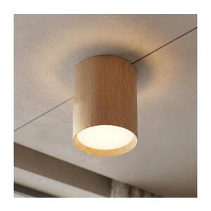 BRILAGI - Bodové svít. SMOOTH LONG 1xGX53/15W/230V 60x82 mm 100x82 mm dekor dubu WO-CD-GX53-M5404-WOOD-OEM obraz