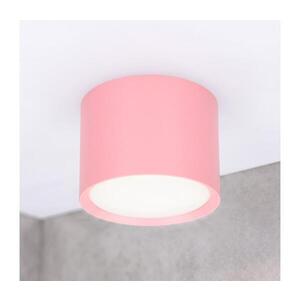BRILAGI - Bodové svítidlo SMOOTH 1xGX53/15W/230V 60x82 mm růžová WO-CD-GX53-MT01-PINK-OEM obraz
