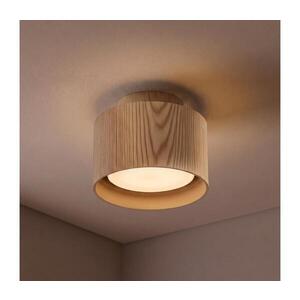 BRILAGI - LED Bodové svítidlo BACKLIT 1xGX53/15W/230V+LED/3W pr. 10 cm dek. dubu WO-E14-G01-WOOD-OEM obraz