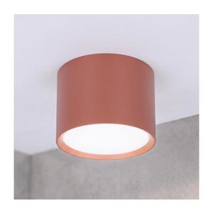 BRILAGI - Bodové svítidlo SMOOTH 1xGX53/15W/230V 60x82 mm hnědá WO-CD-GX53-MT01-RUST-OEM obraz