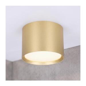 BRILAGI - LED Koupel. bodové svítidlo SMOOTH 1xGX53/15W/230V 60x82 mm zlatá IP54 WO-CD-GX53-S5403-GOLD-OEM obraz
