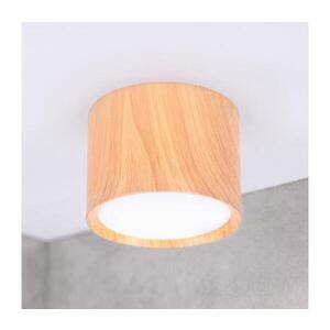 BRILAGI - Bodové svítidlo SMOOTH 1xGX53/15W/230V 60x82 mm dekor dubu WO-CD-GX53-01WD-WOOD-OEM obraz