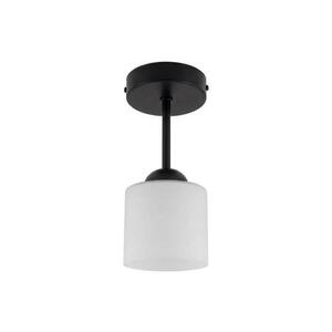 BRILAGI - LED Přisazený lustr RETRO GLASS 1xE27/60W/230V pr. 10 cm černá/bílá BG3989+NSTK7006 obraz