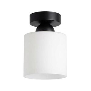 BRILAGI - LED Stropní svítidlo RETRO GLASS 1xE27/60W/230V pr. 10 cm černá/bílá BG3988+NSTK7006 obraz
