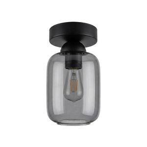 BRILAGI - LED Stropní svítidlo R GLASS 1xE27/60W/230V pr. 14 cm černá/kouř šedá BG3988+NSTK7757 obraz