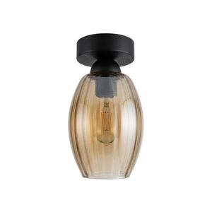 BRILAGI - LED Stropní svítidlo R GLASS 1xE27/60W/230V pr. 17cm černá/kouř béžová BG3988+NSTK7499 obraz