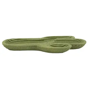 Mauro Ferretti Dekorativní odkládací podnos Cactus 34 cm zelený obraz