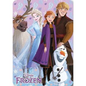 Faro Dětská fleecová deka Polar Frozen 100x140 cm vícebarevná obraz