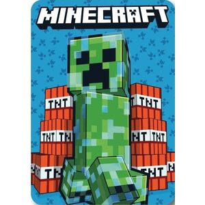 Faro Dětská fleecová deka Polar Minecraft 100x140 cm modrá obraz