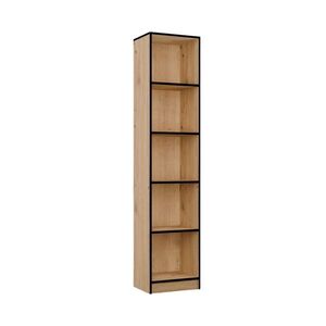 TP Living Knihovna R40 40 cm dub Artisan/černá obraz