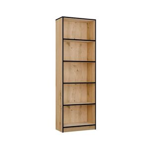 TP Living Knihovna R60 60 cm dub Artisan/černá obraz