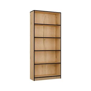 TP Living Knihovna R80 80 cm dub Artisan/černá obraz