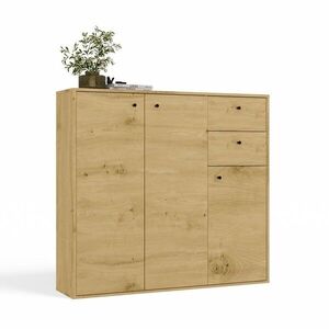 TP Living Komoda Fran 120 cm dub Artisan obraz