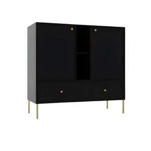ADRK Komoda Tilina 2D 2S 2P 100 cm černá/zlatá obraz