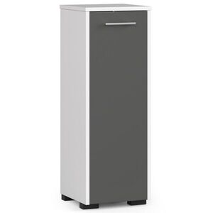 Ak furniture Koupelnová skříňka Fin 30 cm bílá/grafitová obraz