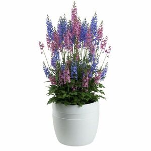HowHomely Květináč LUNA Classic 32, 8 cm bílý obraz