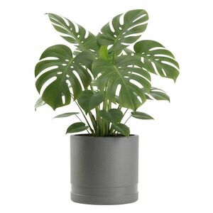 HowHomely Květináč LUNA Cylinder 30, 8 cm antracitový obraz
