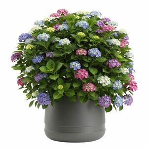 HowHomely Květináč LUNA Vase 42 cm antracitový obraz
