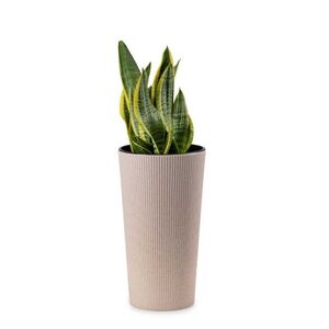 HowHomely Květináč URBANIKA ECO Wood 36, 4x19, 6 cm bílý obraz