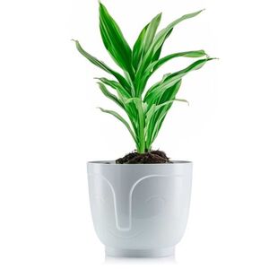 HowHomely Květináč ZOE 14, 3 cm bílý obraz