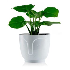 HowHomely Květináč ZOE 16 cm bílý obraz