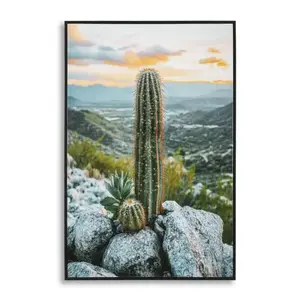 Mauro Ferretti Obraz Cactus A 60x90 cm vícebarevný obraz