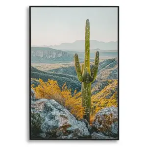 Mauro Ferretti Obraz Cactus B 60x90 cm vícebarevný obraz