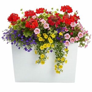 HowHomely Plastový květináč Bloom Riflo 36, 2x56, 1 cm bílý obraz