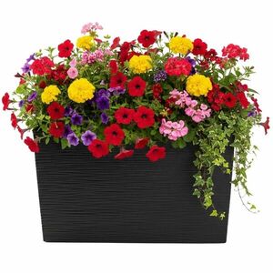 HowHomely Plastový květináč Bloom Riflo 36, 2x56, 1 cm černý obraz