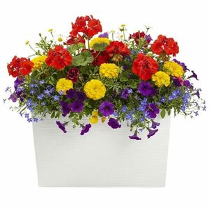 HowHomely Plastový květináč Bloom Riflo 36, 2x56, 1 cm krémový obraz