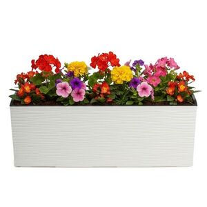 HowHomely Plastový květináč Bouquet Riflo 56x19 cm krémový obraz