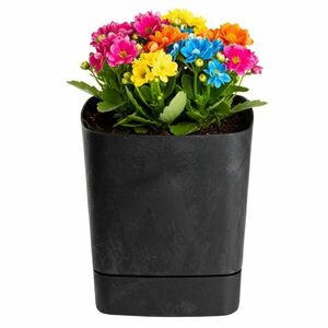 HowHomely Plastový květináč s podmiskou Cubi 19x19 cm černý beton obraz