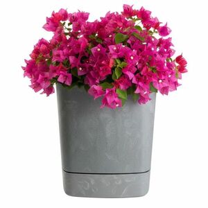 HowHomely Plastový květináč s podmiskou Cubi 25x25 cm šedý beton obraz