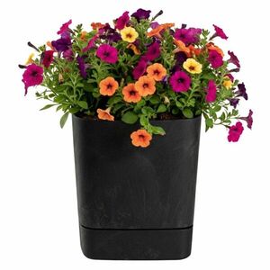 HowHomely Plastový květináč s podmiskou Cubi 30x30 cm černý beton obraz