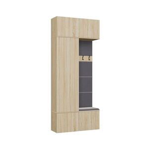 TP Living Předsíňová stěna Haga 1Sz1W 100 cm dub Sonoma obraz