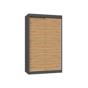 TP Living Šatní skříň IGA 120 cm antracit/dub artisan obraz