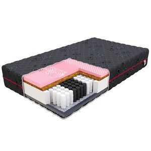 FDM Taštičková matrace Salerno 22 cm černá, velikost 100x200 obraz