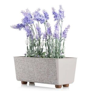 HowHomely Truhlík s nožičkami Salvia 28, 5x17 cm taupe hnědý obraz