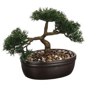 ATMOSPHERA Umělá rostlina v květináči BONSAI 23 cm zelená obraz