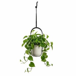 HowHomely Závěsný květináč AERA HANG 17, 9 cm béžový obraz