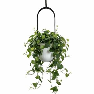 HowHomely Závěsný květináč AERA HANG 17, 9 cm bílý obraz