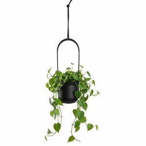 HowHomely Závěsný květináč AERA HANG 17, 9 cm černý obraz