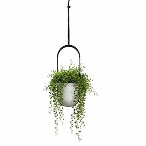 HowHomely Závěsný květináč AERA HANG 17, 9 cm krémový obraz