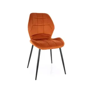 Židle Jake Velvet obraz