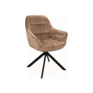Jídelní křeslo ASTORIA VELVET II Signal obraz