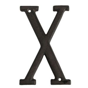 Nástěnné kovové písmeno X - 13 cm 6Y0840-X obraz