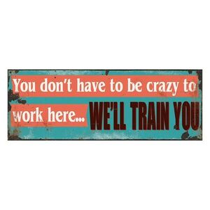 Modrá nástěnná kovová cedule We´ll Train You - 36*1*13 cm 6Y4925 obraz