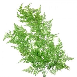 Zelená umělá převislá rostlina kapradí - 10*5*80 cm 5PL0083 obraz