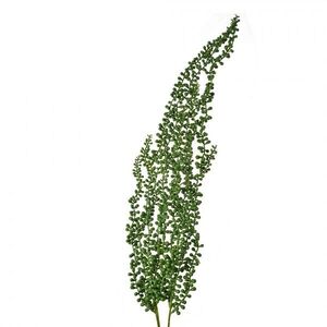 Zelená umělá převislá rostlina starček - 74 cm 5PL0082 obraz